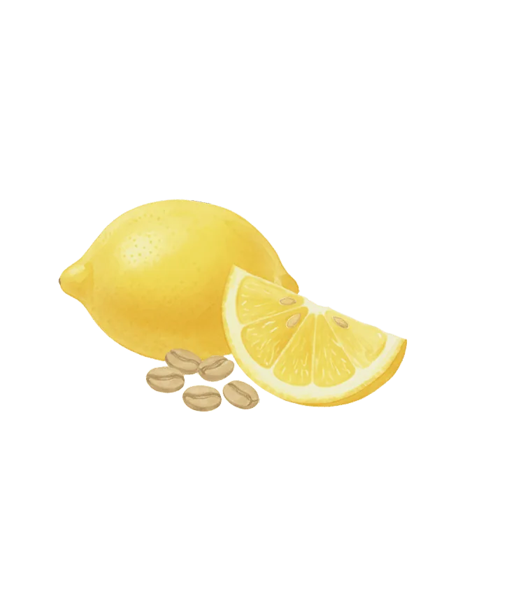 Decorativ